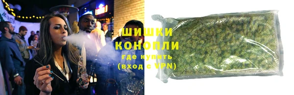 гидра Арсеньев