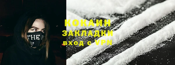 гидра Арсеньев