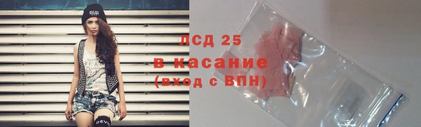 гидра Арсеньев