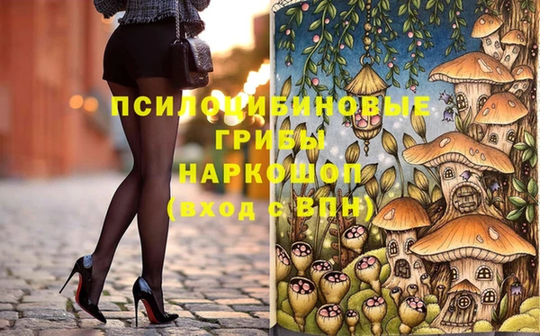 гидра Арсеньев