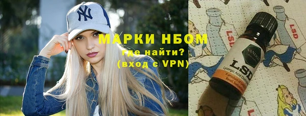сатива Армянск