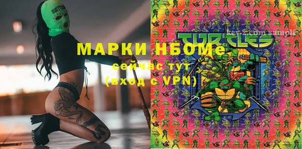 сатива Армянск